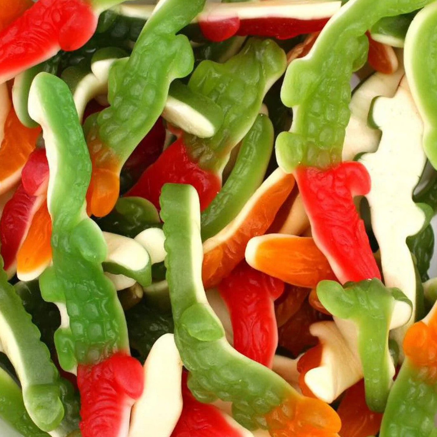 Giant Crocodiles (200g)
